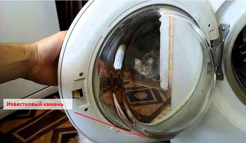 известняк образуется на дне люка и на воротнике